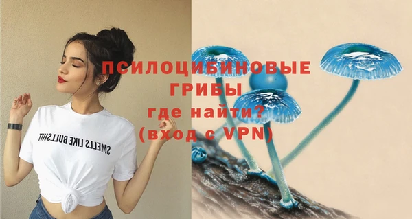 mdpv Алексин
