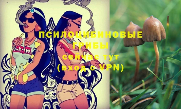 дурь Алзамай