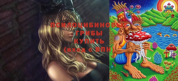 дурь Алзамай