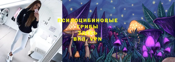 соль ск Алексеевка