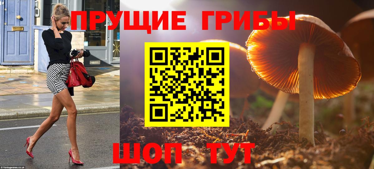 Псилоцибиновые грибы Psilocybe  Псилоцибиновые грибы ЛСД  Рязань  Вход с VPN 