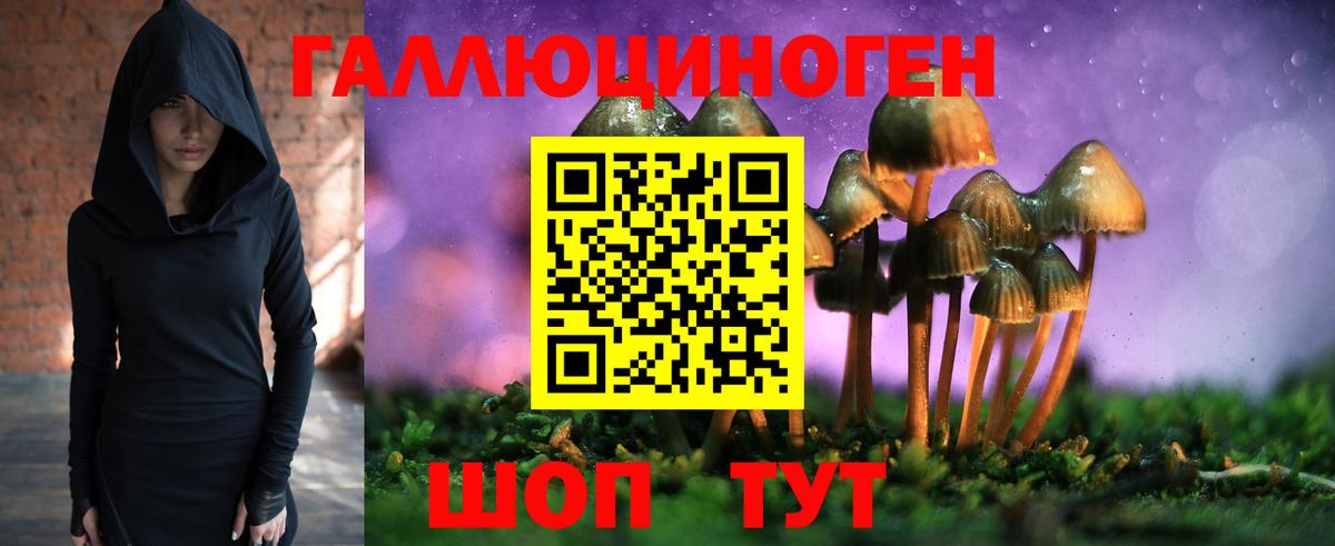 Псилоцибиновые грибы Psilocybine cubensis Рязань